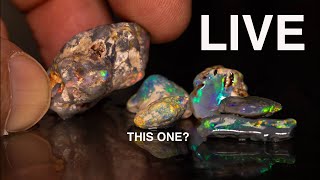 Download lagu LIVE OPAL CUTTING - Which Will Cut The Best Gem? mp3