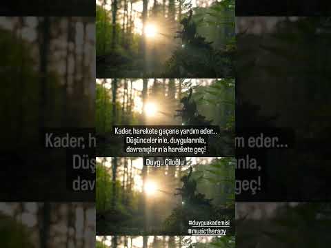 Kader, harekete geçene yardım eder...#duyguciloglu #musictherapy