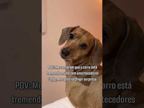 Vá por mim, só amortecedores Cofap trazem o conforto e a segurança que você precisa!