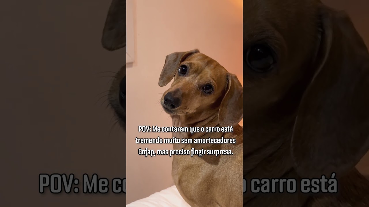 Vá por mim, só amortecedores Cofap trazem o conforto e a segurança que você precisa!