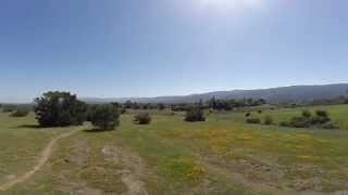 preview picture of video 'Phantom Flight 2 - California Poppy Field'