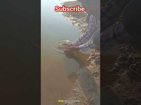 catch and release | Habeeb fishing ✅ [#fishingvideo] 🎣🐠🐟
