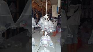 Download lagu Lapak Bang Jadul || Penjual Ikan Cupang Dipasar Parung #tbifarmhouse #bettafish #ikanhias #fyp #ikan mp3 Download lagu Lapak Bang Jadul || Penjual Ikan Cupang Dipasar Parung #tbifarmhouse #bettafish #ikanhias #fyp #ikan mp3