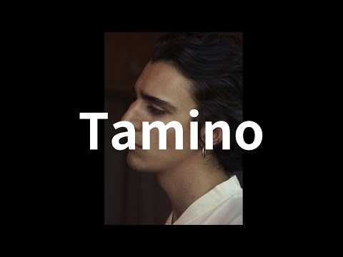 𝑷𝒍𝒂𝒚𝒍𝒊𝒔𝒕ㅣ시인 감성의 이집트 뮤지션 Tamino (타미노)