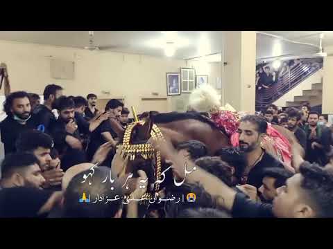 10 MUHARRAM 1443 ZULJINNAH YAQOOT BADSHAH IN MOCHI GATE LAHORE