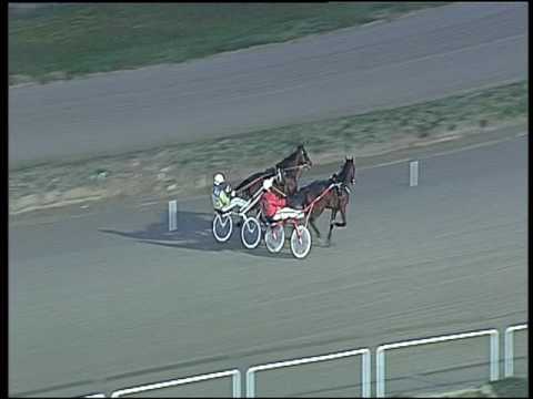 Trotto 24/02/2017 - prova di qualifica