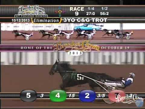 Spider Blue Chip  - 2013 Breeders Crown Elimination - Three-Year-Old Trotting Colts & Geldings