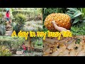 A day in my busy life | day vlog | vlog sinhala  | sri lanka