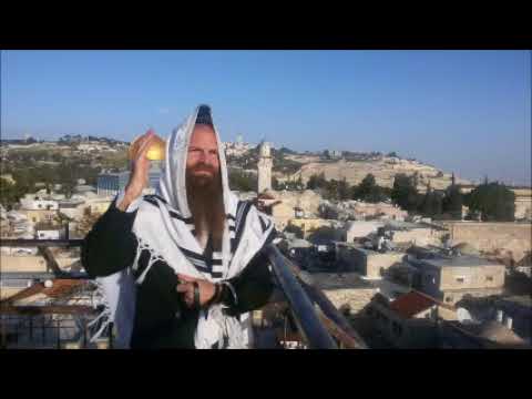 שנים קדמוניות  ( - ותערב ) אריאל רייכל  Ariel Raichel - veterav