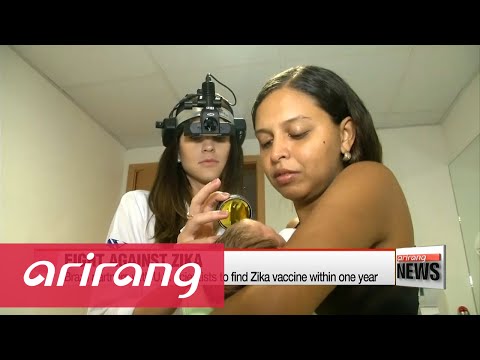 Three people died of Zika-related complications in Brazil last year: officials