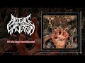 Death Metal 2024 Full Album ABSENCE OF THE SACRED IV The Hand That Wounds