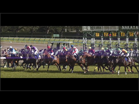 Japanese Race Horsing(Satsuki Sho)