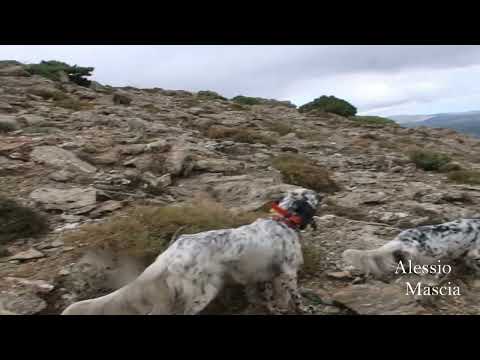 05 OLLY DI MONTE GENZIANA