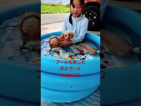 小さな庭と少ない予算のためのプール: 最適な解決策を見つけて、あるべき夏を迎えましょう!  庭園