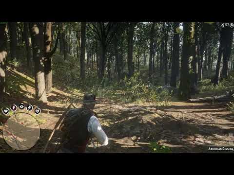 Red Dead Redemption 2 Murfree Brood Trap