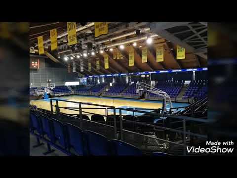 Sopron Basket csapata avagy út a Final4-ig💚💛🏀