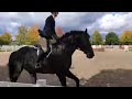 2020 10 01 Stallone 2 6 Open Hunter Wesley Clover Parks