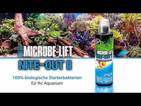 Der perfekte Begleiter für den Start deines Aquariums - 𝗠𝗜𝗖𝗥𝗢𝗕𝗘-𝗟𝗜𝗙𝗧 𝐍𝐢𝐭𝐞-𝐎𝐮𝐭 𝐈𝐈 Starterbakerien.