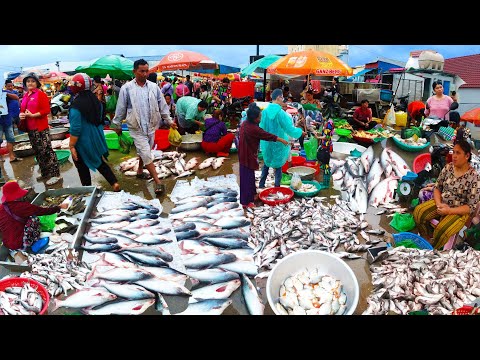 Morning Fish Market Scene @Prek Phnov   Daily Lifestyle & Activities of Vendors Selling Fish