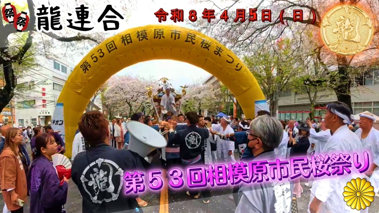 令和８年　相模原市民桜まつり 神輿パレード ★龍連合★相模原に響くドッコイ｜神輿の力が街を揺らす・ド迫力 ＃祭り#甚句＃日本祭典 ＃ドッコイ担ぎ　video 8。