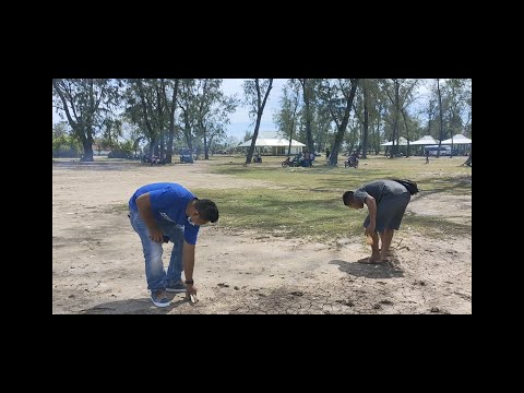 Rayakan Bulan Lingkungan hidup Pemuda GMIT Klasis Malaka bersihkan sampah di Pantai Motadikin