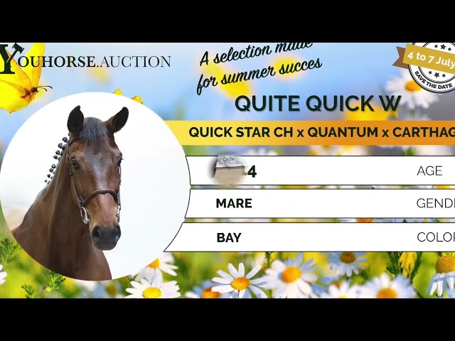 Quite Quick showvideo
