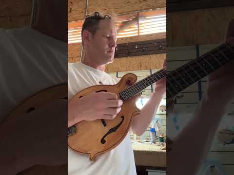 Tonedevil FM Mandolin 2026 - Tobacco Honey Amber Satin image 12