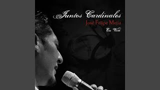 Un Día Junto A Ella (En Vivo) Lyrics English Translation