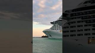 MSC Divina 🛳️ #travel #like #subscribe #comment #cruise #vacation #shortvideo #shortsvideo #shorts