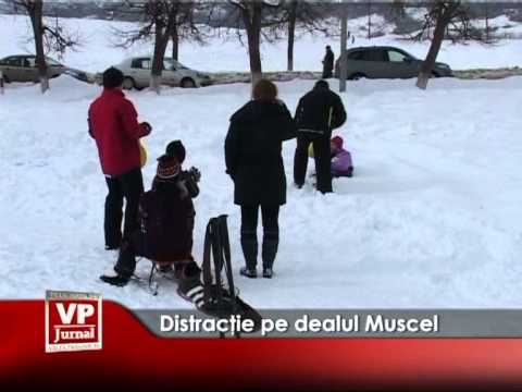 Distracţie pe dealul Muscel