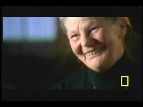 Seconds from Disaster | Alpine Tsunami US Version