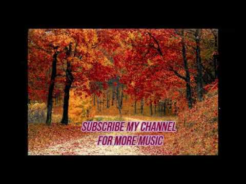 Piano music for relax and good sleep #everydaymusic || every day music ||