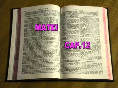EVANGHELIA DUPA MATEI CAPITOLUL 12