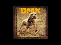 DMX Bring The Noize