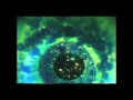 The Field- Looping State of Mind (Music Video)
