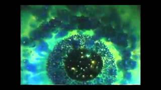 The Field- Looping State of Mind (Music Video)