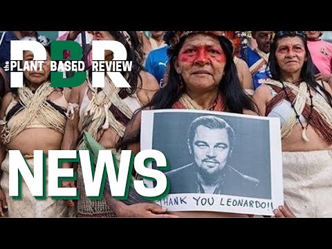 Leonardo Dicaprio Pledges $5 Million to Protect Amazon Rainforest