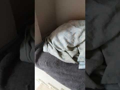 HER CANLI ÜŞÜR,SOKAKTAKI DOSTLARIMIZA SAHİP ÇIKALIM 💙🐾🐕