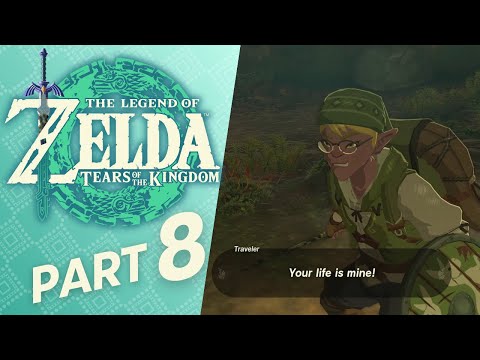 👑 The Legend of Zelda: Tears of the Kingdom | Part 8 [No Commentary | Chill Gameplay]