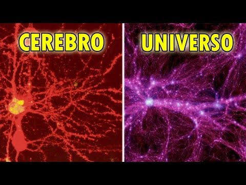 Descubren un UNIVERSO en Nuestro CEREBRO: "Como es Arriba es Abajo"