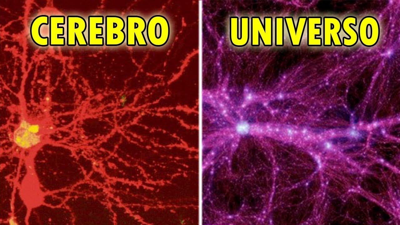 Descubren un UNIVERSO en Nuestro CEREBRO: "Como es Arriba es Abajo"
