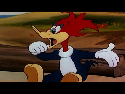 Capa de Pica-Pau em uma ilha deserta | Episódio Completo | Pica-Pau | Desenhos Animados em Português