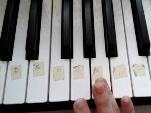 Poradnik.Jak zagrać na keyboardzie"kaczor donald farme miał"