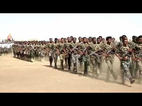 TDF  the safeguard of Tigray!