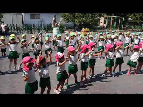 静岡県静岡市葵区の幼稚園の動画 動画検索 ガッコム