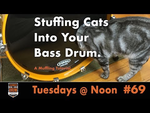 Stuffing Cats Into Your Bass Drum: Tuesdays @ Noon #69