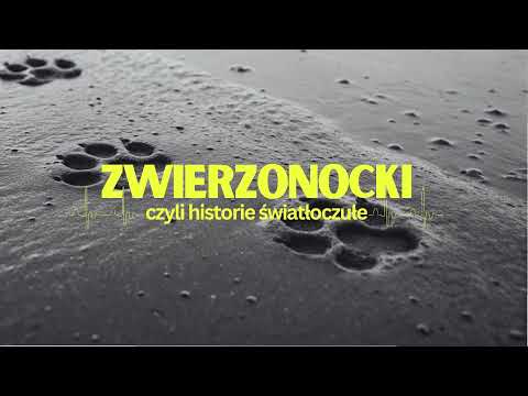 Zwierzonocki, czyli historie światłoczułe [#3] | Rysiek
