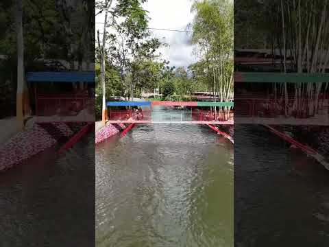 Balneario Quinta Aurelio Angueta en La Maná Cotopaxi Ecuador 🇪🇨
