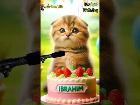 HAPPY BIRTHDAY IBRAHIM | HAPPY BIRTHDAY SONG WITH NAMES | Adorable Cute Cat 😺 #cat #cute