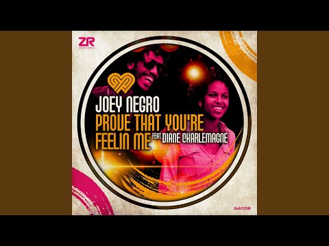 Prove That You're Feeling Me (Radio Edit)